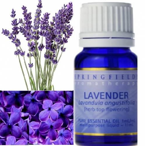 ORGANIC ESSENTIAL OIL LAVENDER